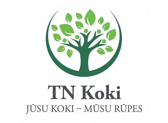 TN Koki, bīstamo koku zāģēšana