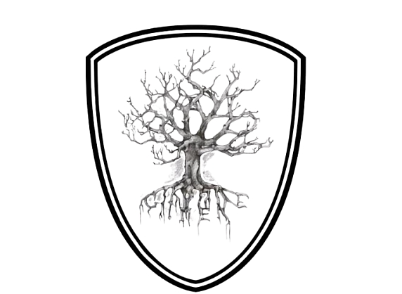 Detalizēta Auto Kopšana