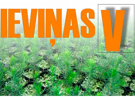 Ieviņas V., SIA, Kokaudzētava