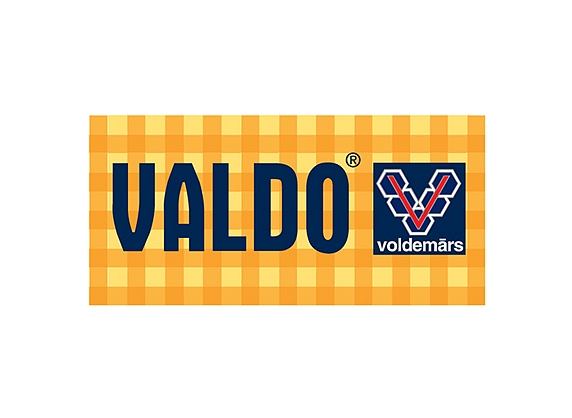 Valdo konferenču centrs