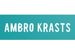 Ambro Krasts, SIA