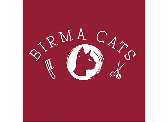 Birma CATS, Pirmais kaķu SPA salons LATVIJĀ