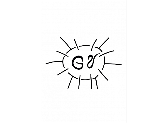GV Saule, SIA
