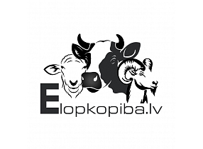 elopkopiba.lv, internetveikals