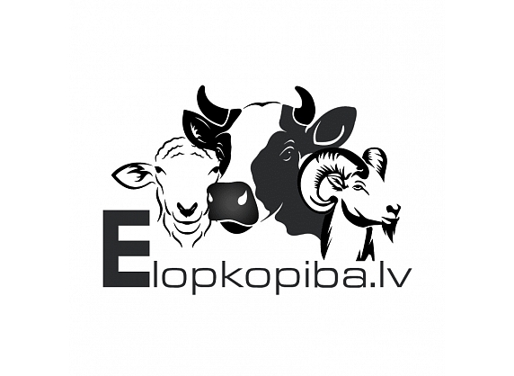elopkopiba.lv, internetveikals