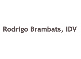 Rodrigo Brambats, IDV