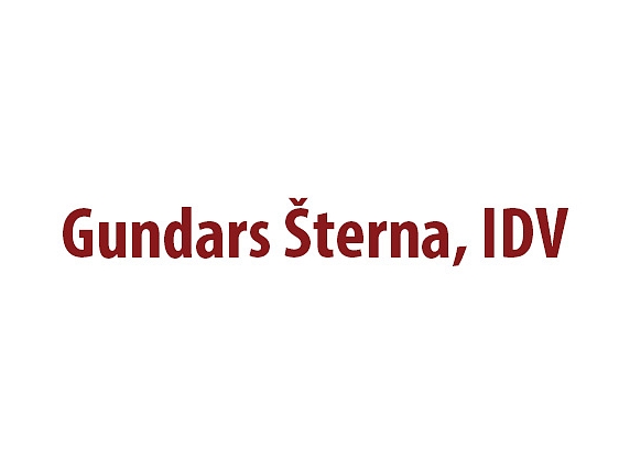 Gundars Šterna, IDV