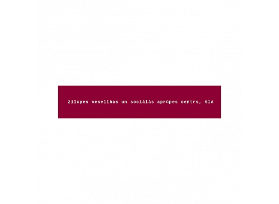 Zilupes sociālās aprūpes centrs, SIA