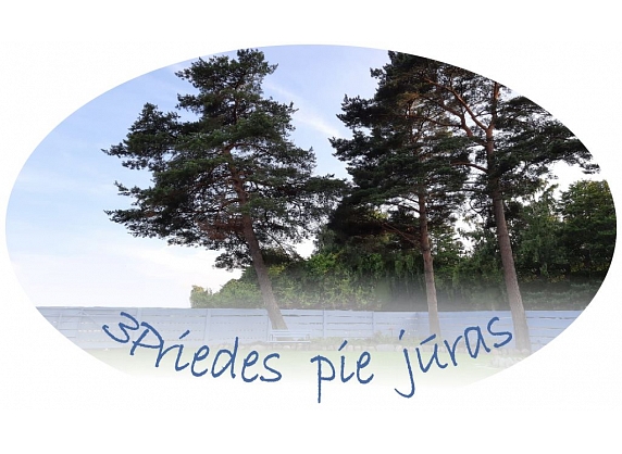 3Priedes pie jūras, brīvdienu māja - viesu nams